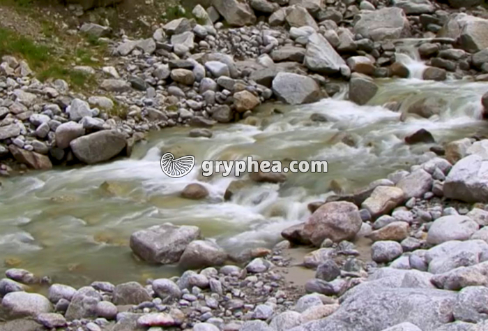 Transport et sédimentation dans un torrent de montagne  - gryphea.com